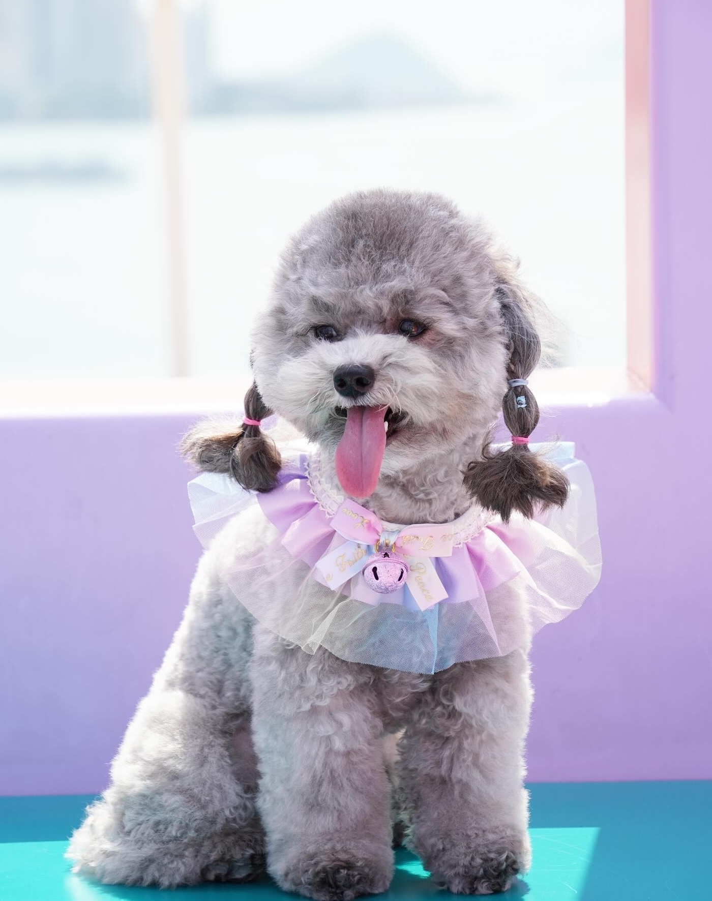 Belo, Enchanted Guardian of the Meadowlands - Image 8