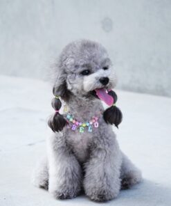 Belo, Enchanted Guardian of the Meadowlands