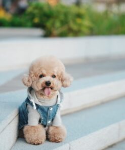 Alternative view of Meet Lucy