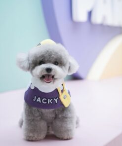 Meet Jacky – My Charming Little Gentleman