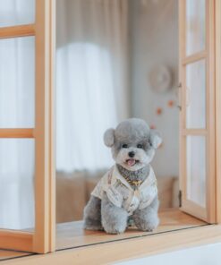 Alternative view of Meet Jacky – My Charming Little Gentleman