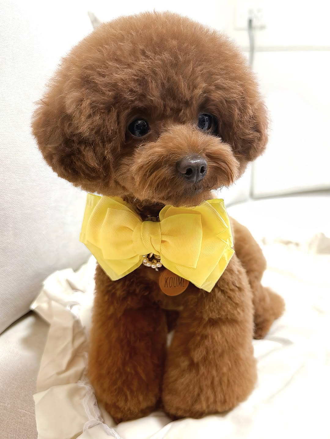 koume_1029_1c5993aed9f04c36996c8beaaea47c1c