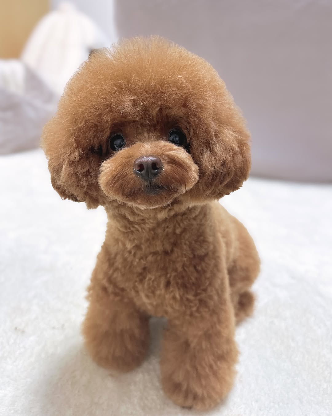 koume_1029_3691b301bf454106827db2ec9238aa40