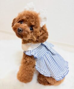 Alternative view of Meet Koume – The Sweet Brown Bundle of Joy